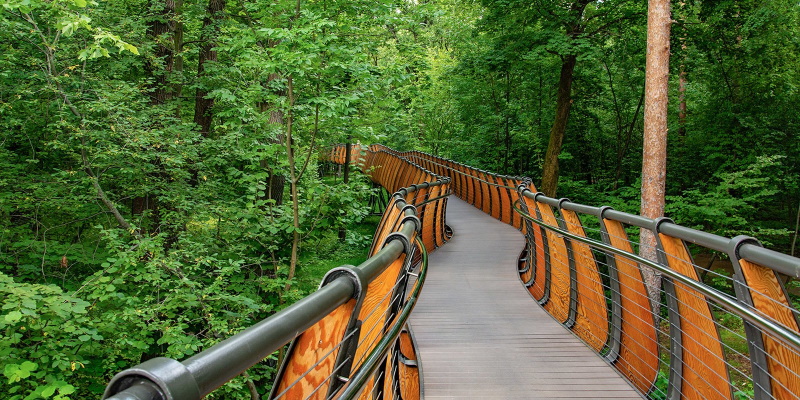 Лестница через лес "Сад будущего"